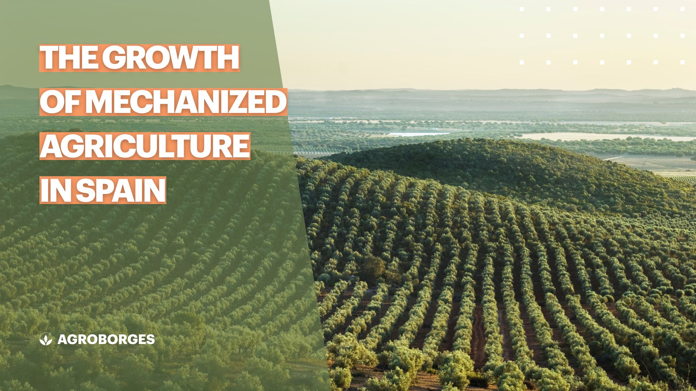The growth of mechanized agriculture in Spain