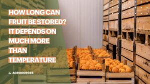 How long can fruit be stored? It depends on much more than just temperature
