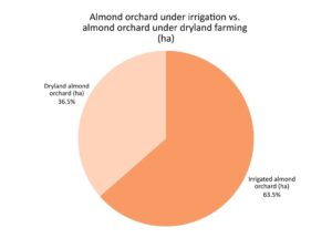 Comparison of Irrigated vs. Rainfed Almond Orchards