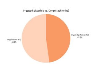 Comparison of Irrigated vs. Rainfed Pistachio Orchards