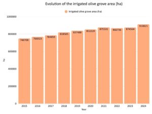 Evolution of Irrigated Olive Orchard Surface Area (ha)