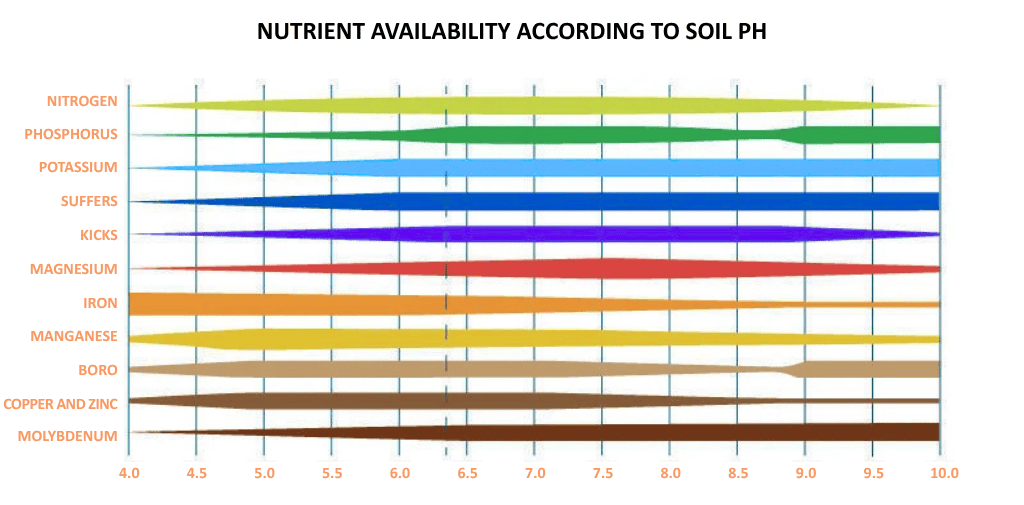 Nutrient availability according to soil pH