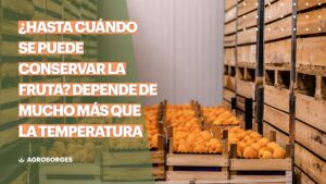 ¿Hasta cuándo se puede conservar la fruta? Depende de mucho más que la temperatura
