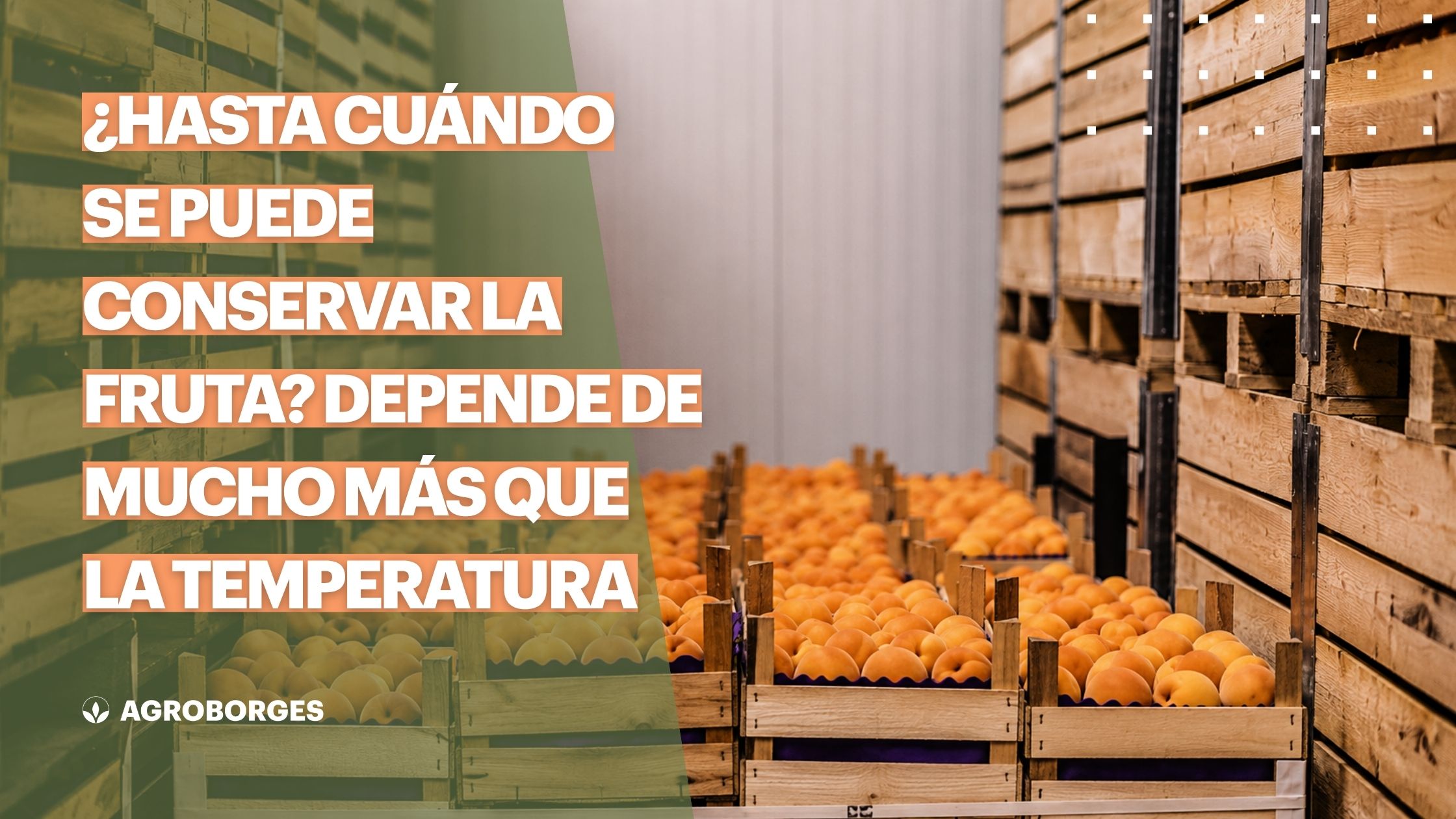 ¿Hasta cuándo se puede conservar la fruta? Depende de mucho más que la temperatura