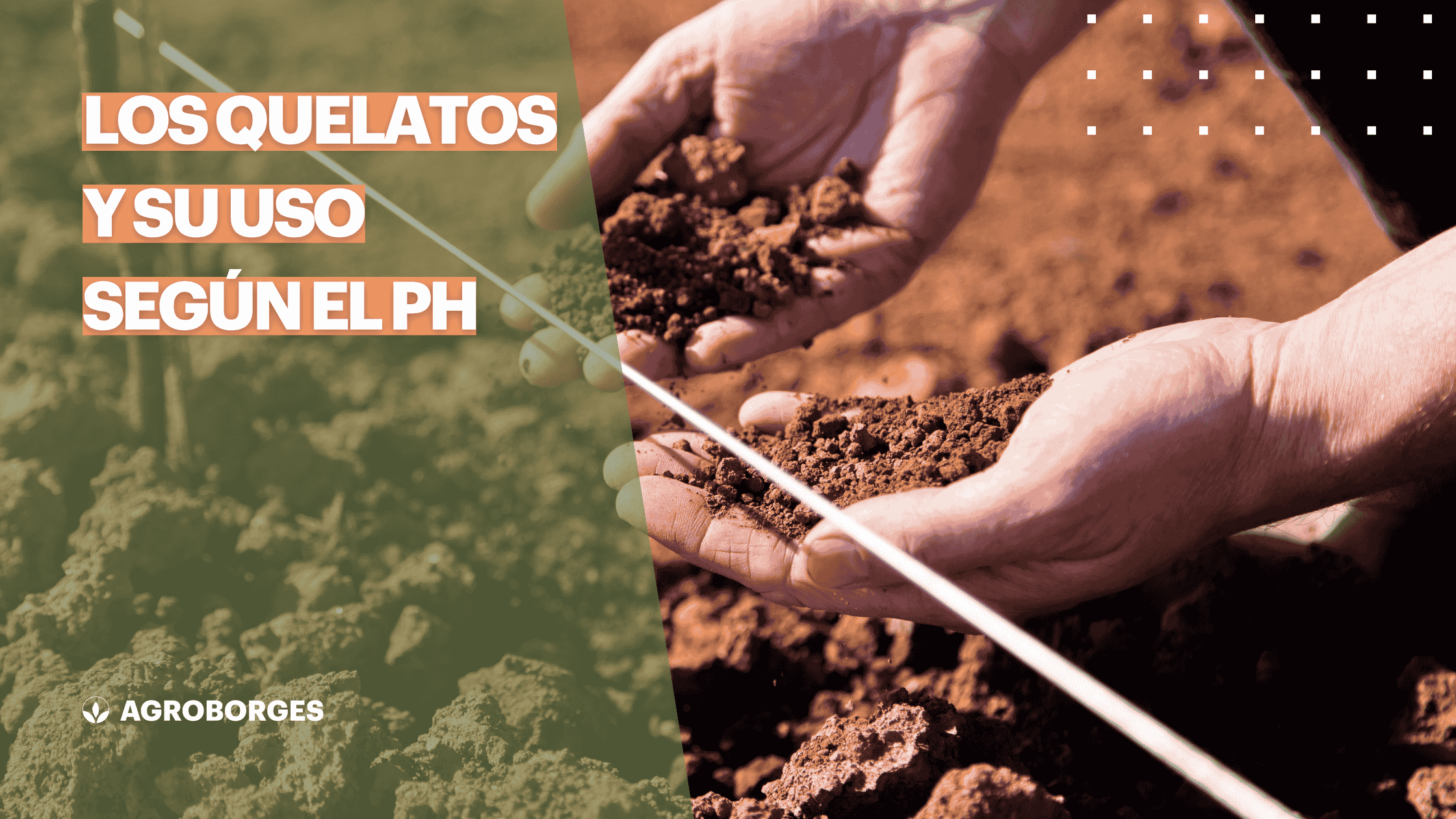 Los quelatos y su uso según el pH