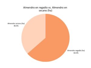 Comparativa almendro en regadío vs. almendro en secano