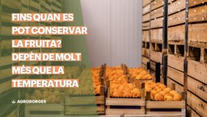Fins quan es pot conservar la fruita? Depèn de molt més que la temperatura