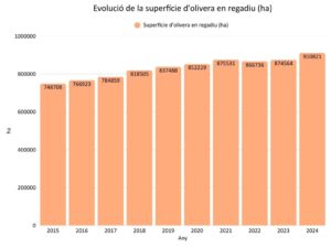 Evolució de la superfície d’olivera en regadiu (ha)