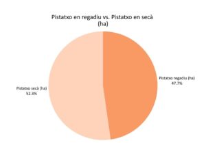 Comparació Pistatxo en regadiu vs. Pistatxo en secà