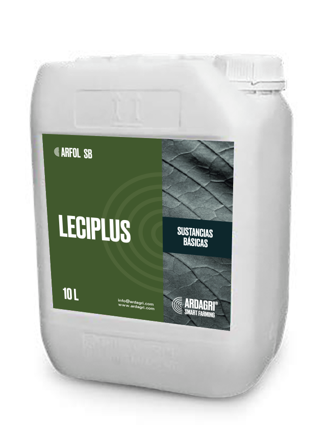 Leciplus