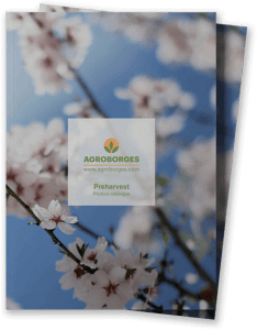 Catàleg Productes